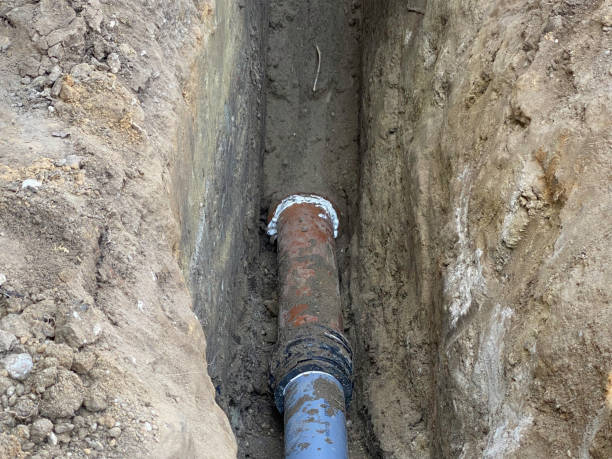 Best Flood restoration services  in White Bluff, TN
