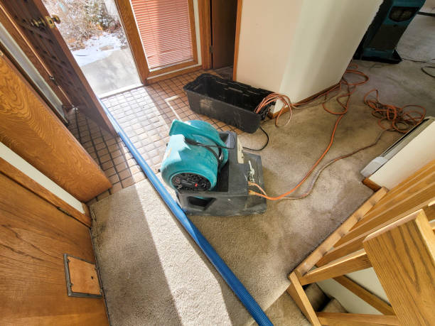 Best Water damage cleanup near me  in White Bluff, TN