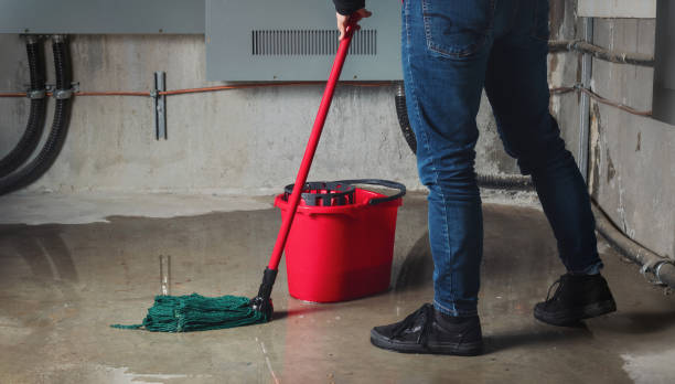 Best Carpet water damage restoration  in White Bluff, TN