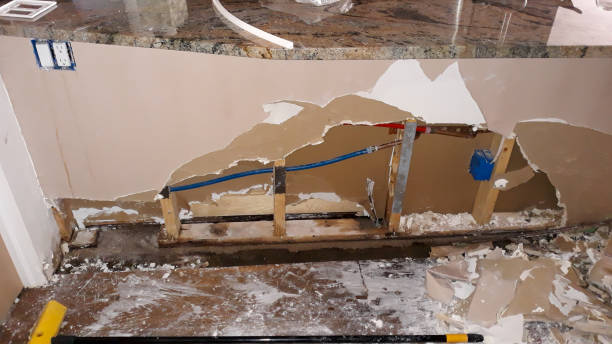 Best Residential water damage restoration  in White Bluff, TN